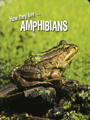 cover image of How they live... Amphibians